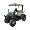 Voiture Buggy de chasse de Golf électrique, pneus de 14 pouces, corps en alliage d'aluminium, chariot à 2 sièges