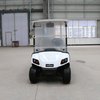 Voiture de club de golf 2 places Buggy Golf avec tableau de bord LED