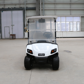 Voiture de club de golf 2 places Buggy Golf avec tableau de bord LED