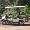 Chariots de golf électriques bon marché, nouveau design, batterie au plomb sélectionnée avec 4 roues