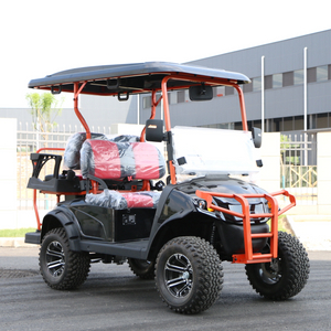 Voiturette de golf électrique 2 places, petit buggy avec chargeur de batterie 48 V