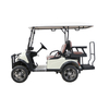 Nouveau design chariot de golf électrique 4 places chariot de golf tout-terrain avec batterie au lithium