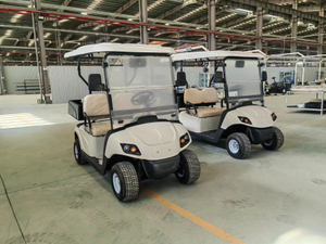 Petit transporteur avec lit à benne basculante, véhicule Buggy électrique de haute qualité